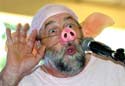 A random image of a pig, hog, boar or swine from the collection at Porkopolis.
