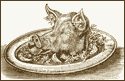A random image of a pig, hog, boar or swine from the collection at Porkopolis.