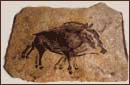 A random image of a pig, hog, boar or swine from the collection at Porkopolis.