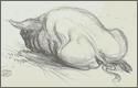 A random image of a pig, hog, boar or swine from the collection at Porkopolis.