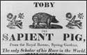 A random image of a pig, hog, boar or swine from the collection at Porkopolis.