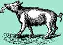 A random image of a pig, hog, boar or swine from the collection at Porkopolis.
