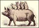 A random image of a pig, hog, boar or swine from the collection at Porkopolis.