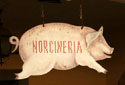 A random image of a pig, hog, boar or swine from the collection at Porkopolis.