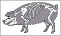 A random image of a pig, hog, boar or swine from the collection at Porkopolis.