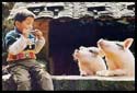A random image of a pig, hog, boar or swine from the collection at Porkopolis.