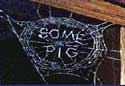 A random image of a pig, hog, boar or swine from the collection at Porkopolis.