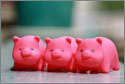 A random image of a pig, hog, boar or swine from the collection at Porkopolis.