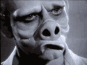 A random image of a pig, hog, boar or swine from the collection at Porkopolis.