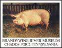A random image of a pig, hog, boar or swine from the collection at Porkopolis.