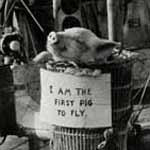 First Pig to Fly – Lord Brabazon