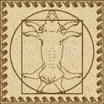 Vitruvian Swine