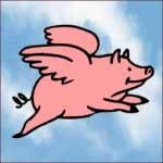 A Brief History of Pigs and Flight