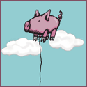 pig balloon