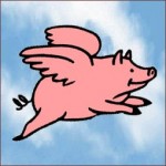 flying pig 4