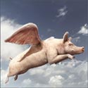flying pig 2