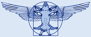 vitruvian swine blueprint