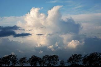 cloudspotting boar's head