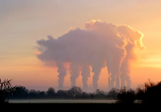 cloudspotting six leg pig