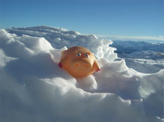 cloudspotting snow pig