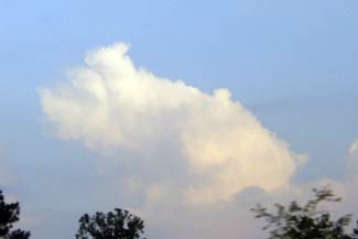 cloudspotting wilber