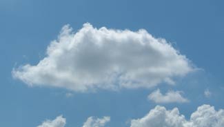 cloudspotting wild boar