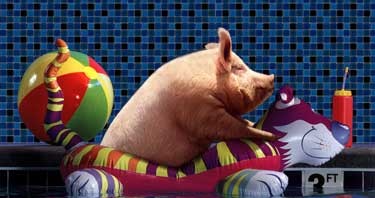 pig in a swimming pool