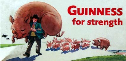 guinness for strength pigs