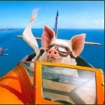 Pig flight