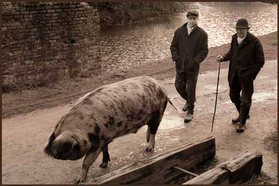 the road is everywhere