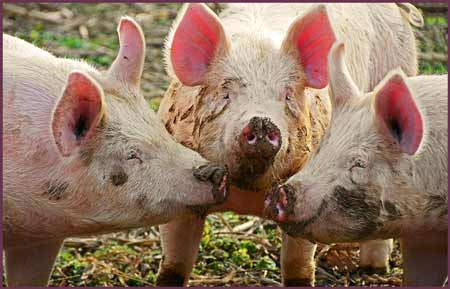 always be on the way