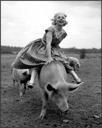 the pig she rides
