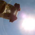 Styfall - dropped GoPro camera is snuffled by pig