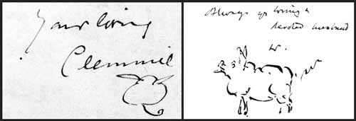 Churchill - pig and cat