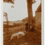 Lhermitte, Charles Augustin - Bretagne, femme gardant des cochons #1 [Brittany, woman keeping pigs #1]