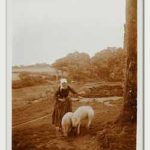 Lhermitte, Charles Augustin - Bretagne, femme gardant des cochons #2 [Brittany, woman keeping pigs #2]