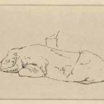 Moreau, Gustave - Porc couché [Pig lying down]