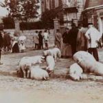 Popelin, Gustave - Marchands de porcs #2 [Pork merchants #2]