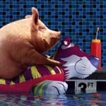 pig in pool