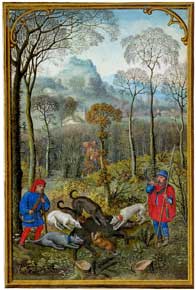 Simon Bening - December, Hunting wild boar