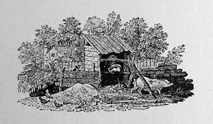 Thomas Bewick - The Pig-Sty Netty