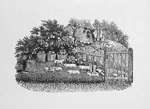 Thomas Bewick - The Yoked Sow and the Thieving Piglets