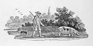 Thomas Bewick - A Man Driving a Sow