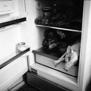 Blos, Stephen - The pig in the refrigerator