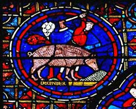 Chartres Cathedral - December - pig killing