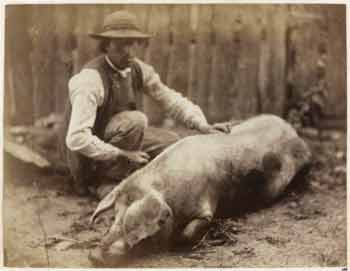 Léon Crémière - Cochon couché avec un homme à côté