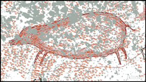 tracing of 35,400 year old Babirusa pig drawing
