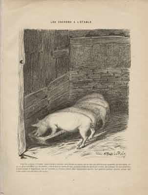 Alfred Le Petit - Les cochons à l'étable
