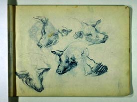 Lucien Levy-Dhurmer - Cinq études de têtes de cochons