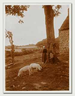 Charles Augustin Lhermitte - Bretagne, femme gardant des cochons #1